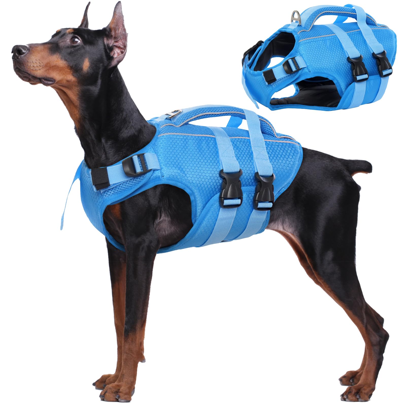 Bleu