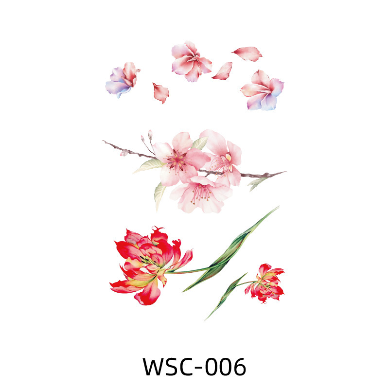 Wsc-006