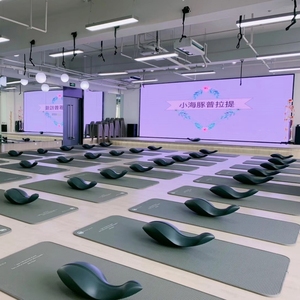 Yoga yunus yüksek yoğunluklu geri çekirdek eğitim dengeleyici Fitness Pilates omurga düzeltici - Product Image 3