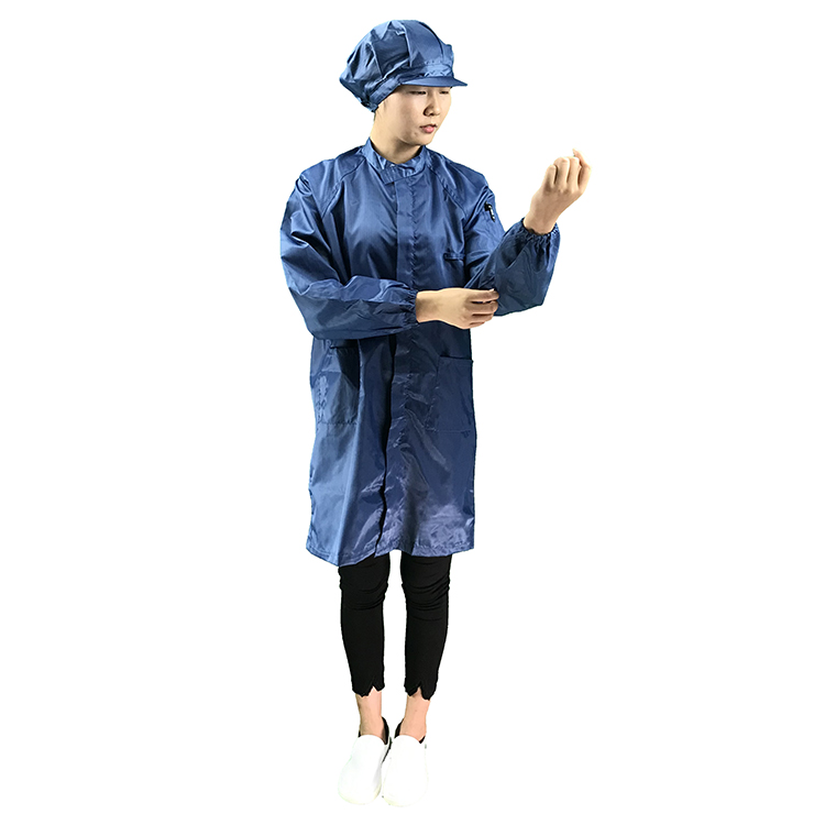 pato azul