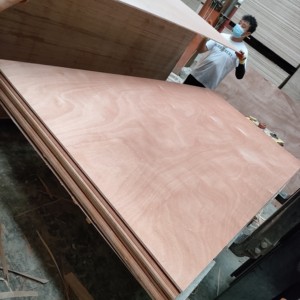 גיליון דיקט 4 x8 <span class=keywords><strong>okoume</strong></span> ליבנה פורניר e0 ידידותי לסביבה מסחרית דיקט 18 מ "מ 12 מ" מ לשימוש פנימי בעיצוב מודרני