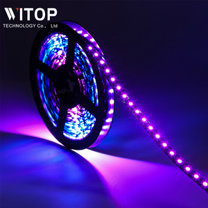 Digital Pixel <strong>Led</strong> Strip Light RGB Wholesale Smart 12v 24V Ws2811 IP20 65 67 68 DC 12V Ip67 Copper Body <strong>Led</strong> Light - Product Image 2
