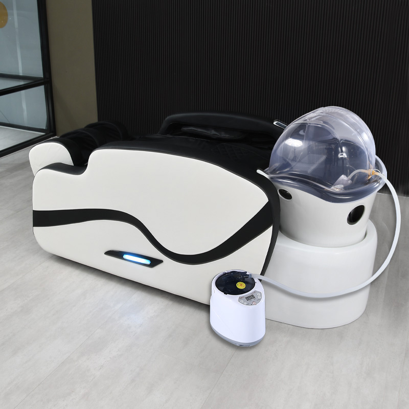 bed+bluetooth audio+Backside Heating+fumigation+water heater