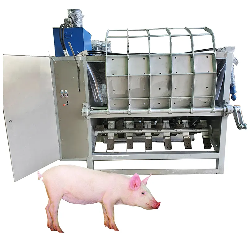 Domuz mezbaha ekipmanları domuz karkas saç makinesi kaldırmak için domuz abattoir-100