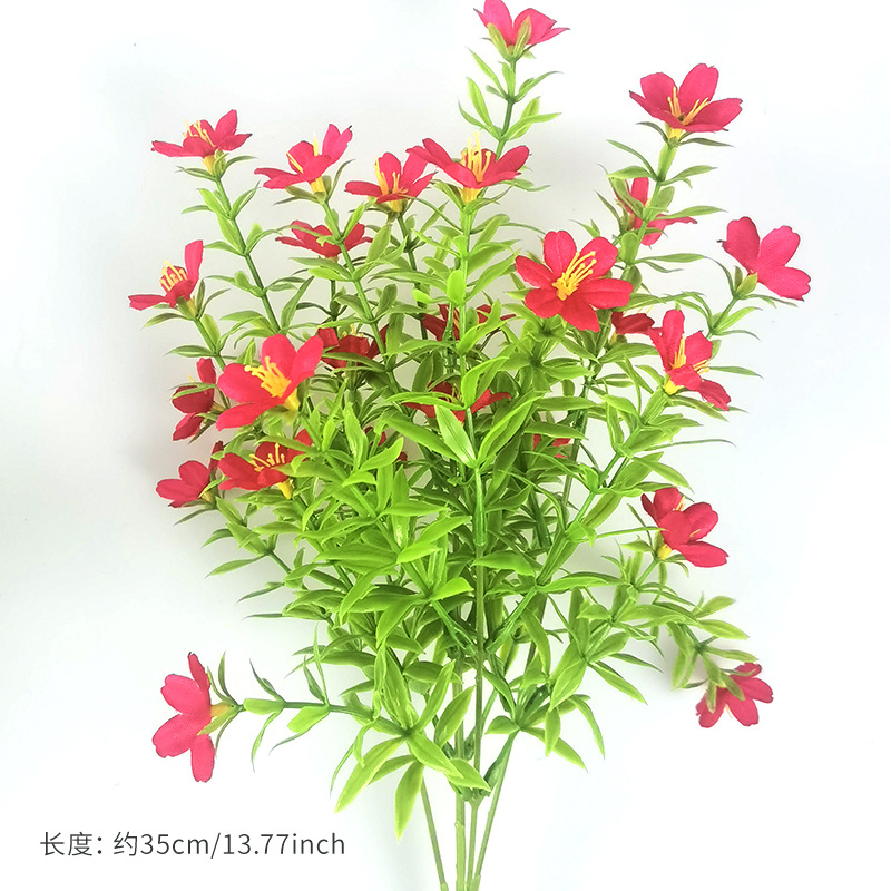 Size 2 (small red)
