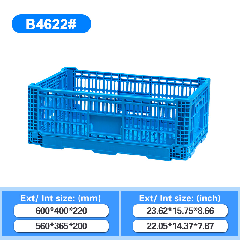 B4622(mesh)#