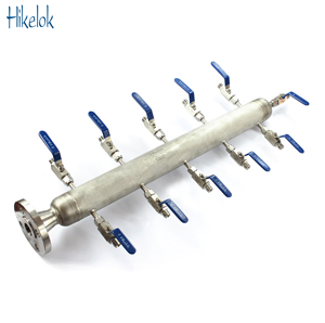 Hikelok производитель на возраст 6, 8, 10, 12 лет, как для инструментов из нержавеющей стали Заголовок распределительные коллекторы - Product Image 5