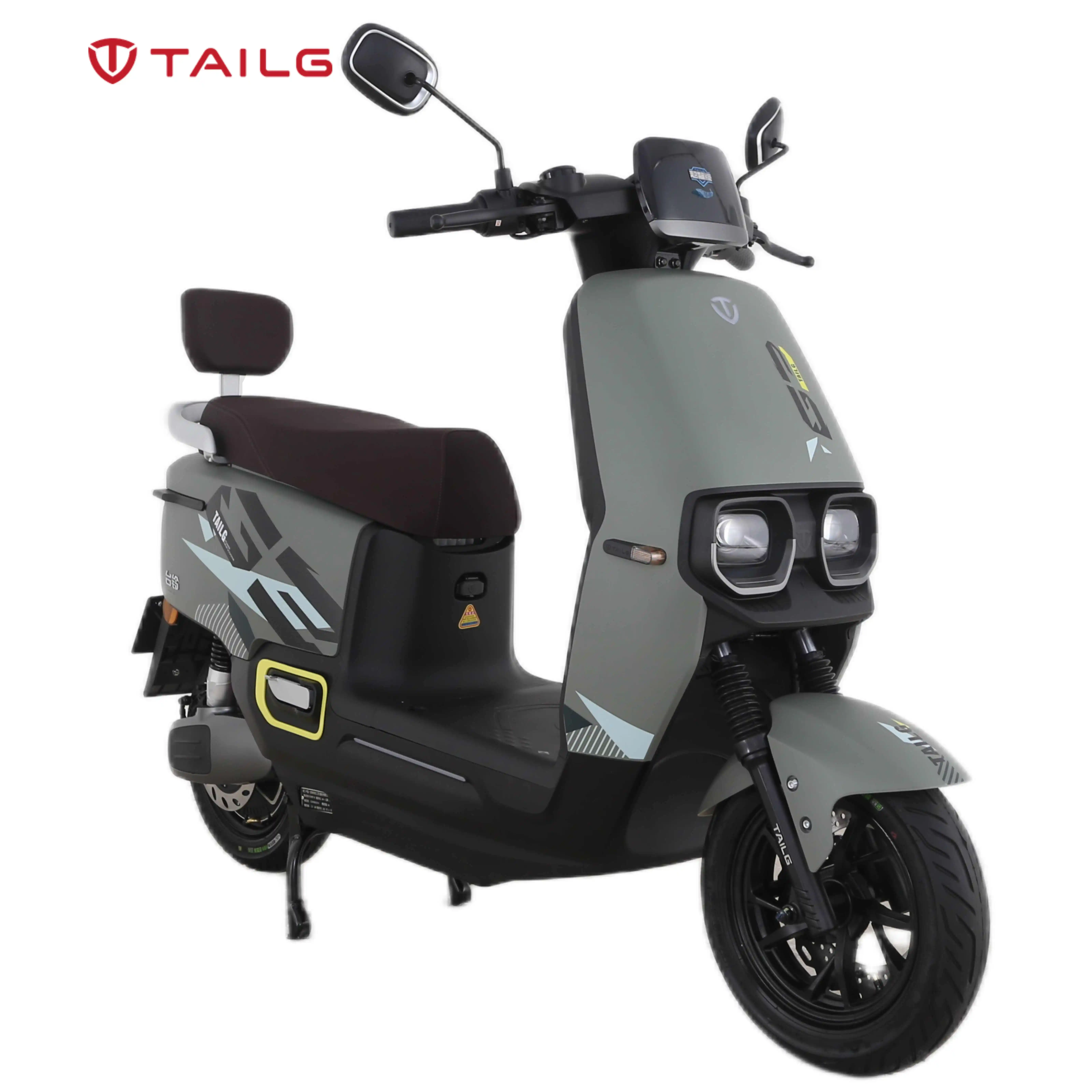 Tailgカスタマイズ可能なスタイル1000W電動モータースクーターモーターサイクルオフロードバイクオートバイ
