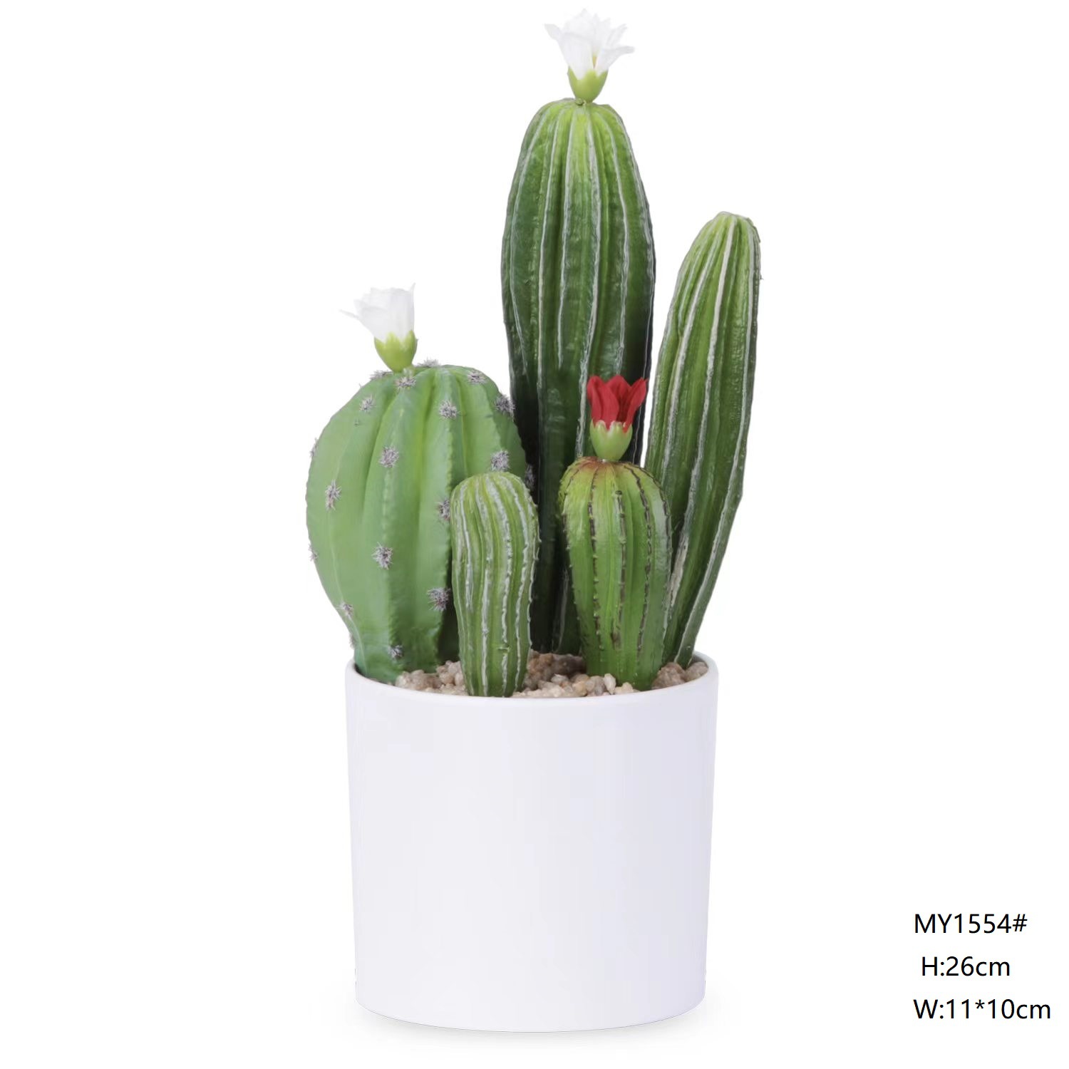 Mini cactus de 26 cm, estilo B, bonsái mixto.