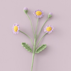 Pourpre