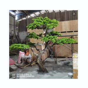 2024 yeni özelleştirmek 3m yükseklik özelleştirmek peyzaj kapalı ağaç yapay selvi çam bonsai ağacı - Product Image 1