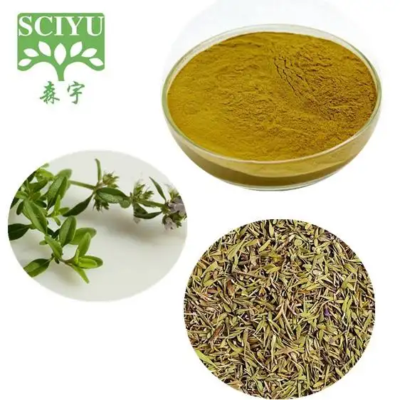 Organic Pure Natural Thymum leaf extract powder food grade 10:1 20:1 Thyme Extract