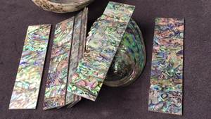 เปลือกหอยเป๋าฮื้อธรรมชาติสำหรับเครื่องประดับเปลือกหอยเป๋าฮื้อหลวม - Product Image 4