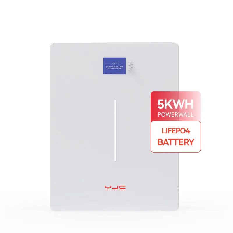 ครัวเรือน10Kwh 5Kwh แบตเตอรี่ลิเธียมไอออน Lifepo4 51.2V 100ah Powerwall แบตเตอรี่เก็บพลังงานแสงอาทิตย์