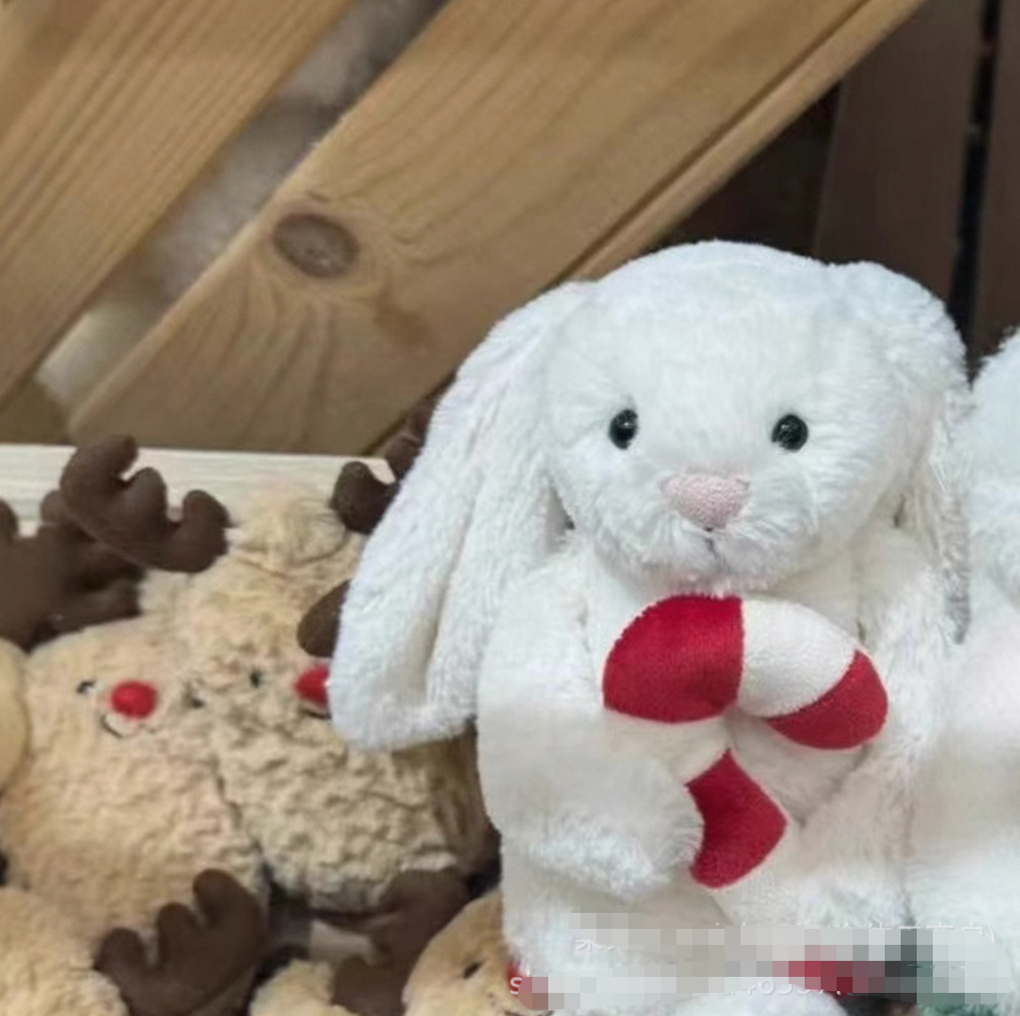 Lapin tenant une canne en bonbon