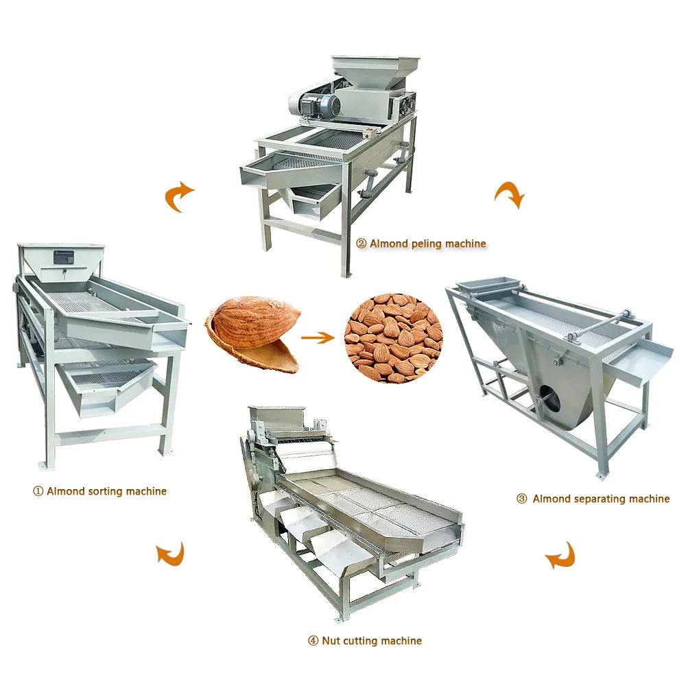 Macchina di classificazione del Cracker del guscio di mandorla di vendita calda decorticatore della mandorla tagliatrice aperta sgusciatrice e separatrice della mandorla