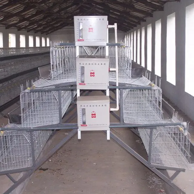30 ans d'approvisionnement d'usine Cage de batterie de Type a pour les couches de volaille/Cages à œufs de poule, produit chaud 2019 HT 70 3 mois