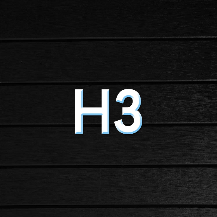 h3