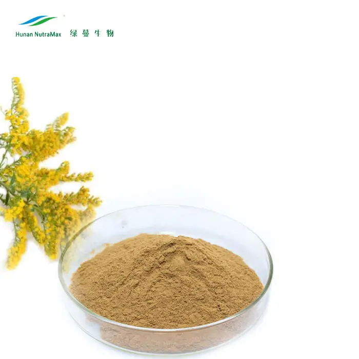 Китайская травяная медицина, экстракт Solidago Decurrens 10: 1 20: 1, золотой стержень Solidago Decurrens Lour Extract