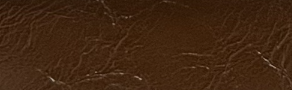 8095 #