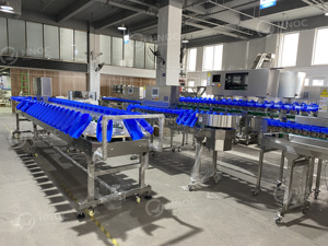 Automatic Weight <strong>Sorting</strong> <strong>Machine</strong> Fruit and Vegetable Vibration <strong>Sorting</strong> <strong>Machine</strong> Meat and Seafood Weighing <strong>Sorting</strong> <strong>Machine</strong> - Product Image 3