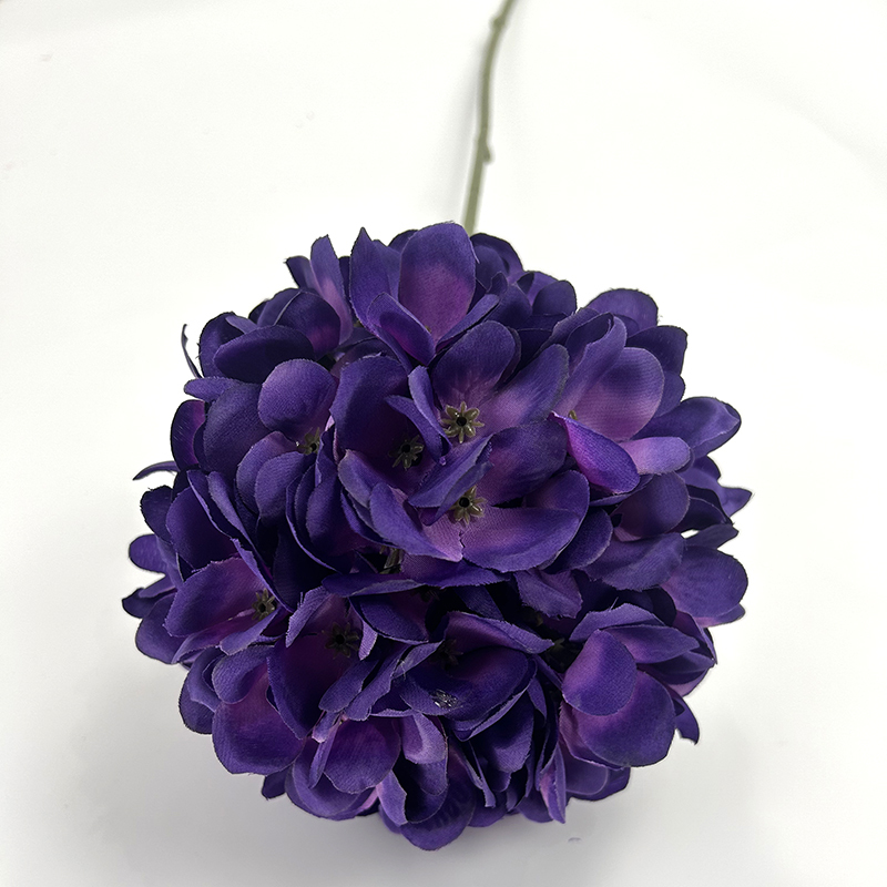 Pourpre