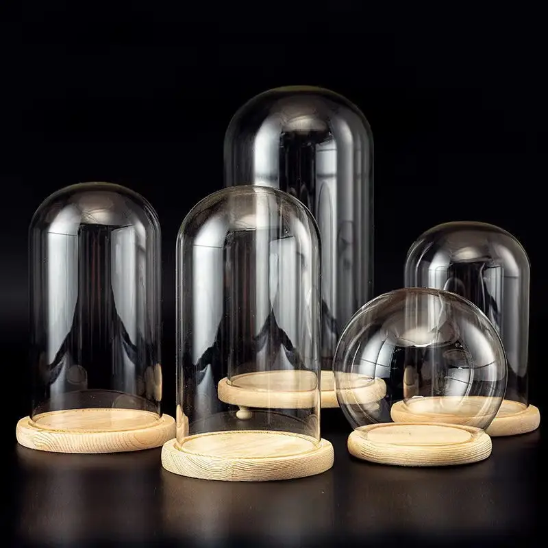 Dôme en verre transparent avec poignée, pot de Terrarium avec Base en bois naturel, bon marché