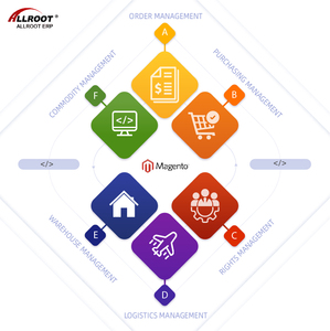 Sitio Web de comercio electrónico autoconstruido de Magento con servicios integrales de acoplamiento API y personalización