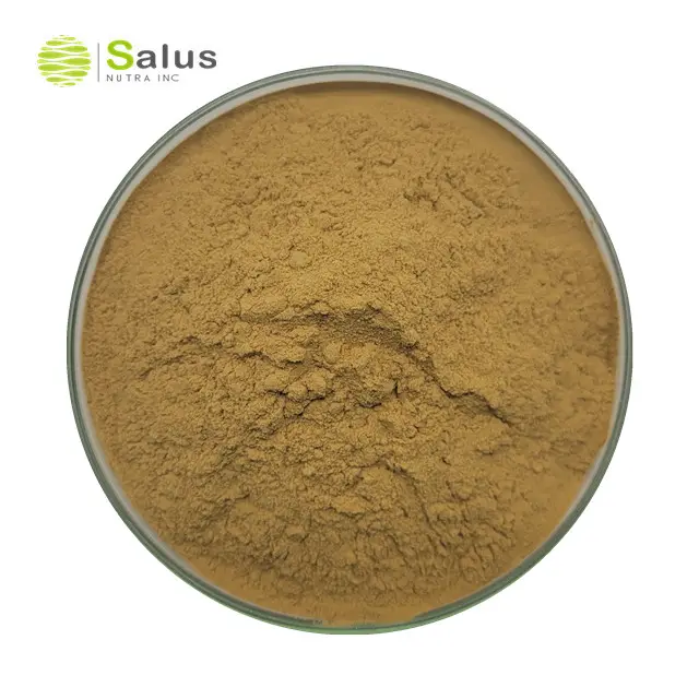 Salus Supply 20% 40% 4-hidroxiisoleucina polvo de extracto de fenogreco