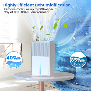 2024 Trend Home und RV Luftent feuchter mit LED-Licht 3000ML elektrische trockene Kleidung Frische Gesundheit Luft entfernung und Feuchtigkeit kontrolle