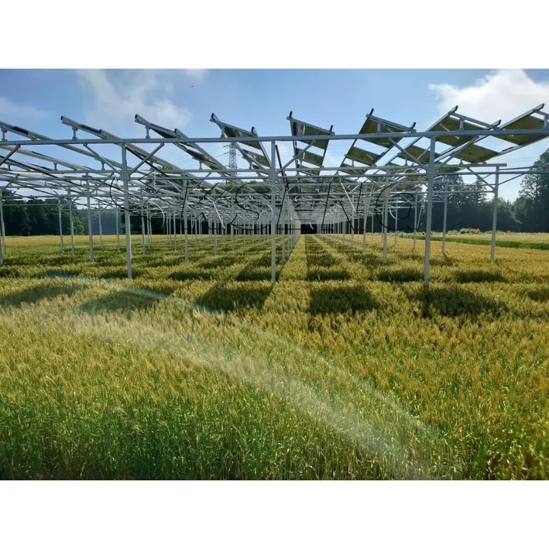 農業用構造物取り付けPv太陽光発電取り付け構造ソーラーファーム取り付けシステムソーラーファームシステム