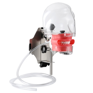 Dental Teaching Head Model <strong>Fix</strong> on Chair with Lifelike Typodont <strong>Tooth</strong> Model - Product Image 1