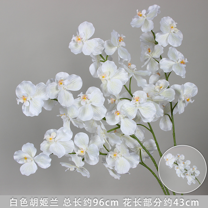 Orchidée blanche à 9 têtes