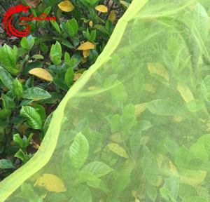 Ürün koruma ağı için kuş kuşu/haşere ve dolu böcek önleyici sineklik yeşil evde kullanılan - Product Image 2