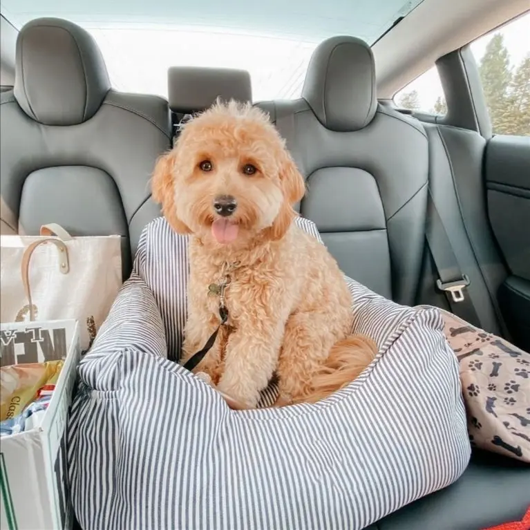 Asiento elevador de coche para perros, cama transportadora de viaje con bolsillo de almacenamiento, correa de seguridad con Clip, Base antideslizante