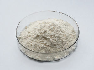 Yüksek saflıkta fabrika fiyat Oxymatrine 99% - Product Image 2