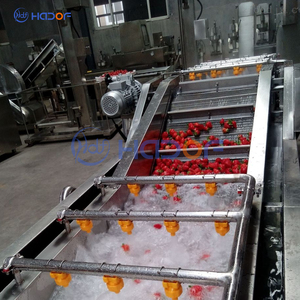 自动输送机送料连续刷气泡清洗分选果蔬清洗干燥机 - Product Image 4