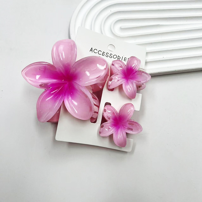 Ensemble combiné rose dégradé, carte incluse