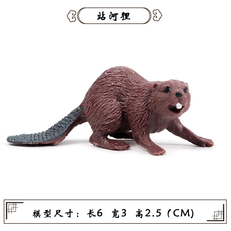 Station M-025 Beavers