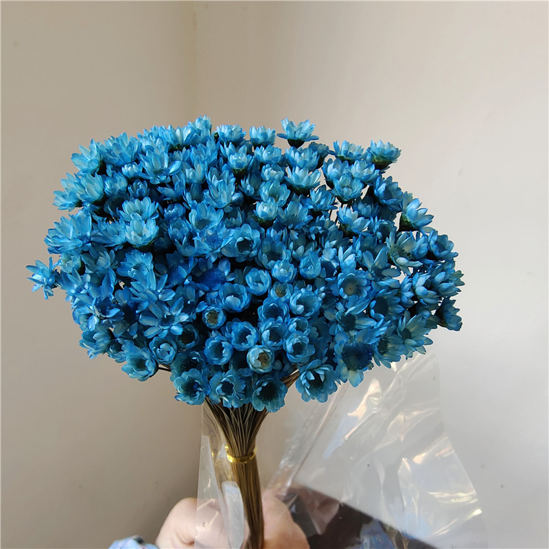 50 stems - light blue