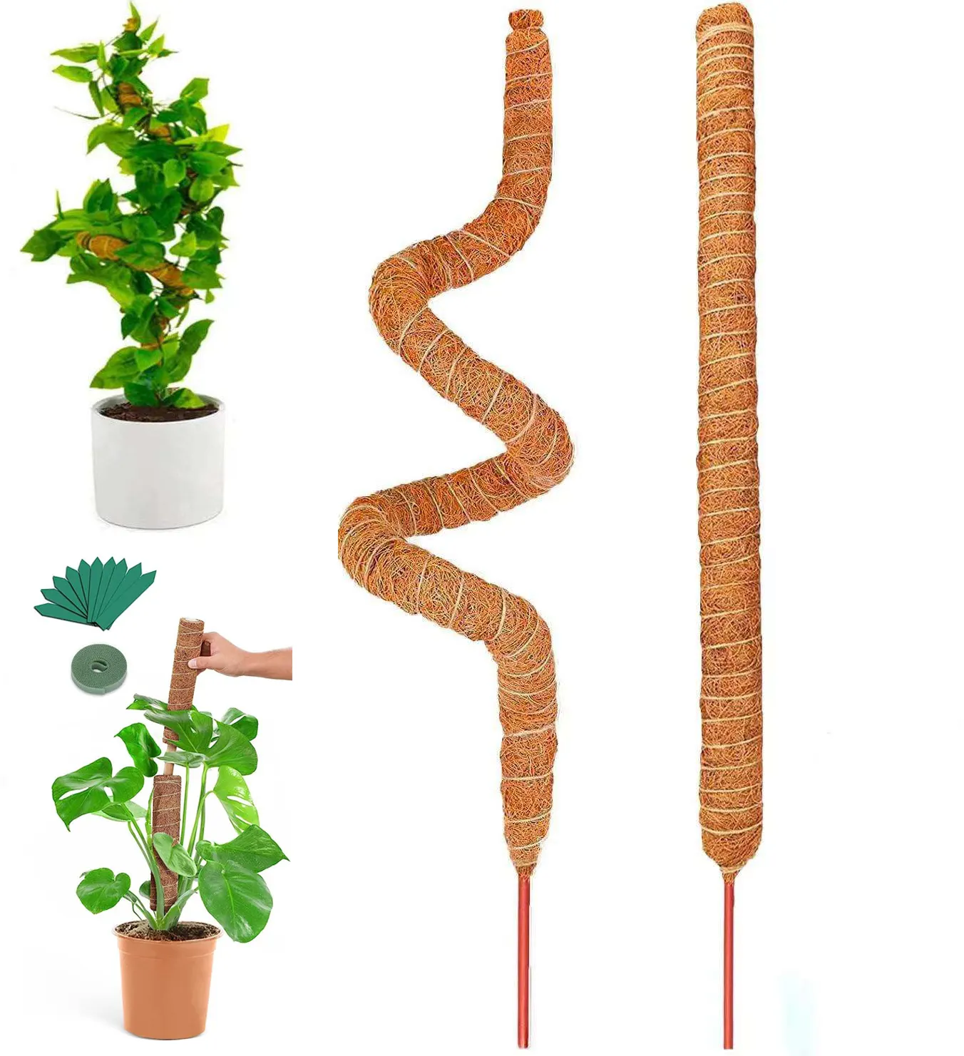 Support de bâtons de plantes pliables, piquets de plantes pour plantes d'intérieur/d'extérieur, poteau de mousse pour plantes grimpantes