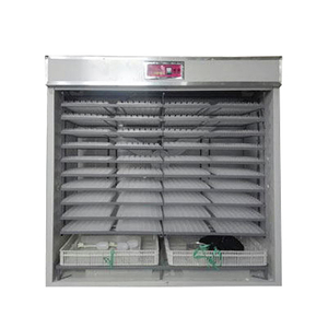 Klasik tasarım kuluçka makinesi couveuse oeuf automatique yumurta kuluçka otomatik - Product Image 5