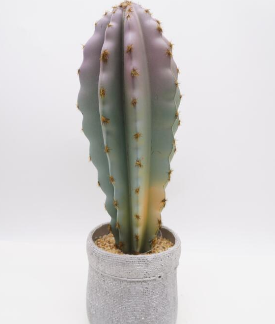 Green and Purple