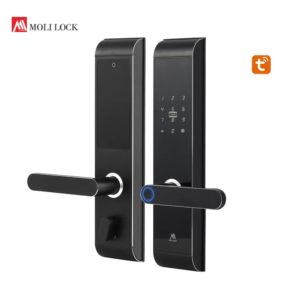 Impermeabile Tuya Wifi App Rf Card di controllo di accesso antifurto porta chiave di ingresso serratura Smart serrature