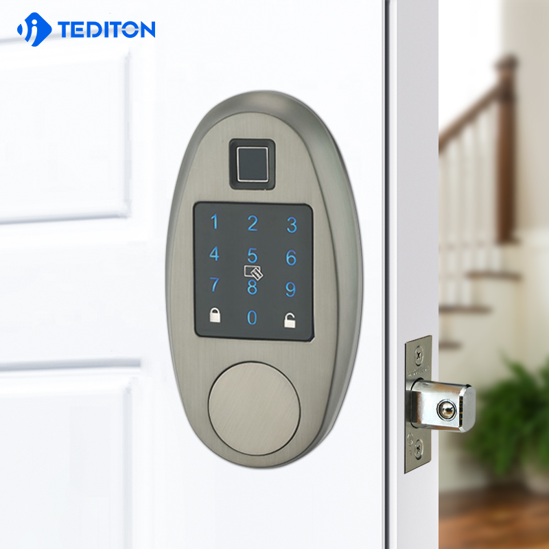 Security Electronic Password door locks with ttlock WiFI Biometric fingerprint smart digital lock door