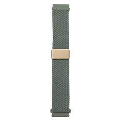 Aiguille de pin vert