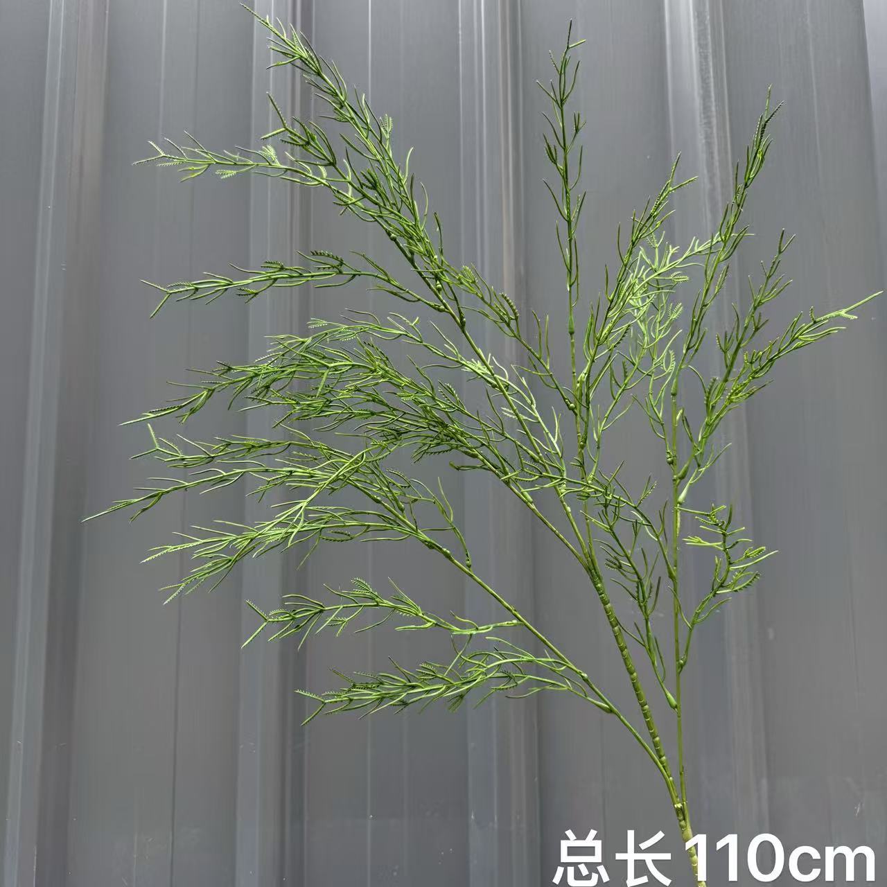Spray-colored reed grass