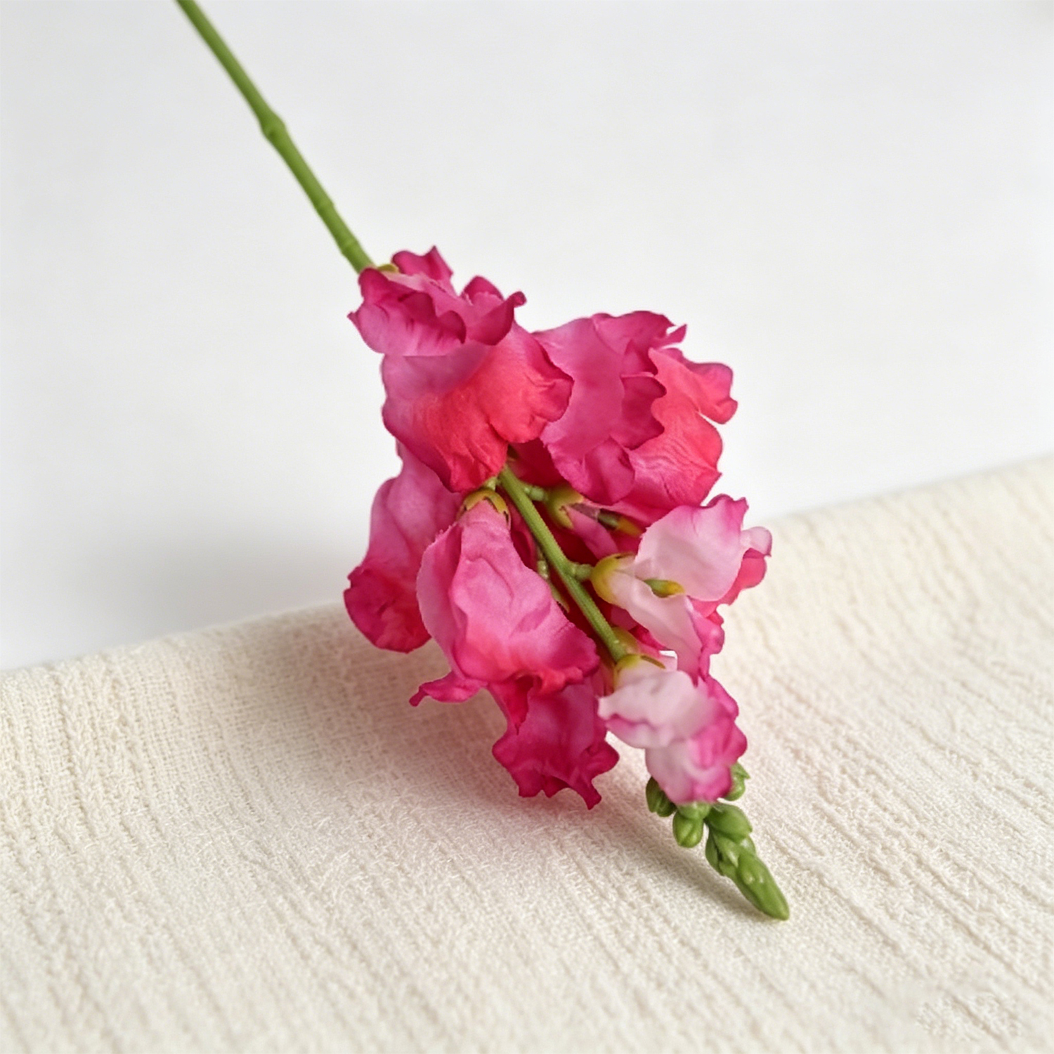 rosso rosa