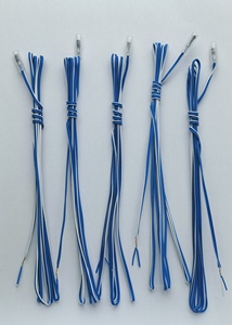无焰或火焰点火点火器，可定制，全系列，厂家直销 - Product Image 3