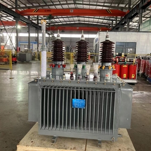 Trasformatore di distribuzione a bagno d'olio 100kVA per progetto di installazione di progetto di elettrificazione rurale 10kV 3 fasi 380V uscita - Product Image 6